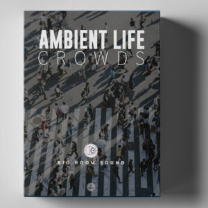 AMBIENT LIFE Crowds