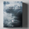 AMBIENT LIFE: Wind & Rain sound effects library by Big Room Sound